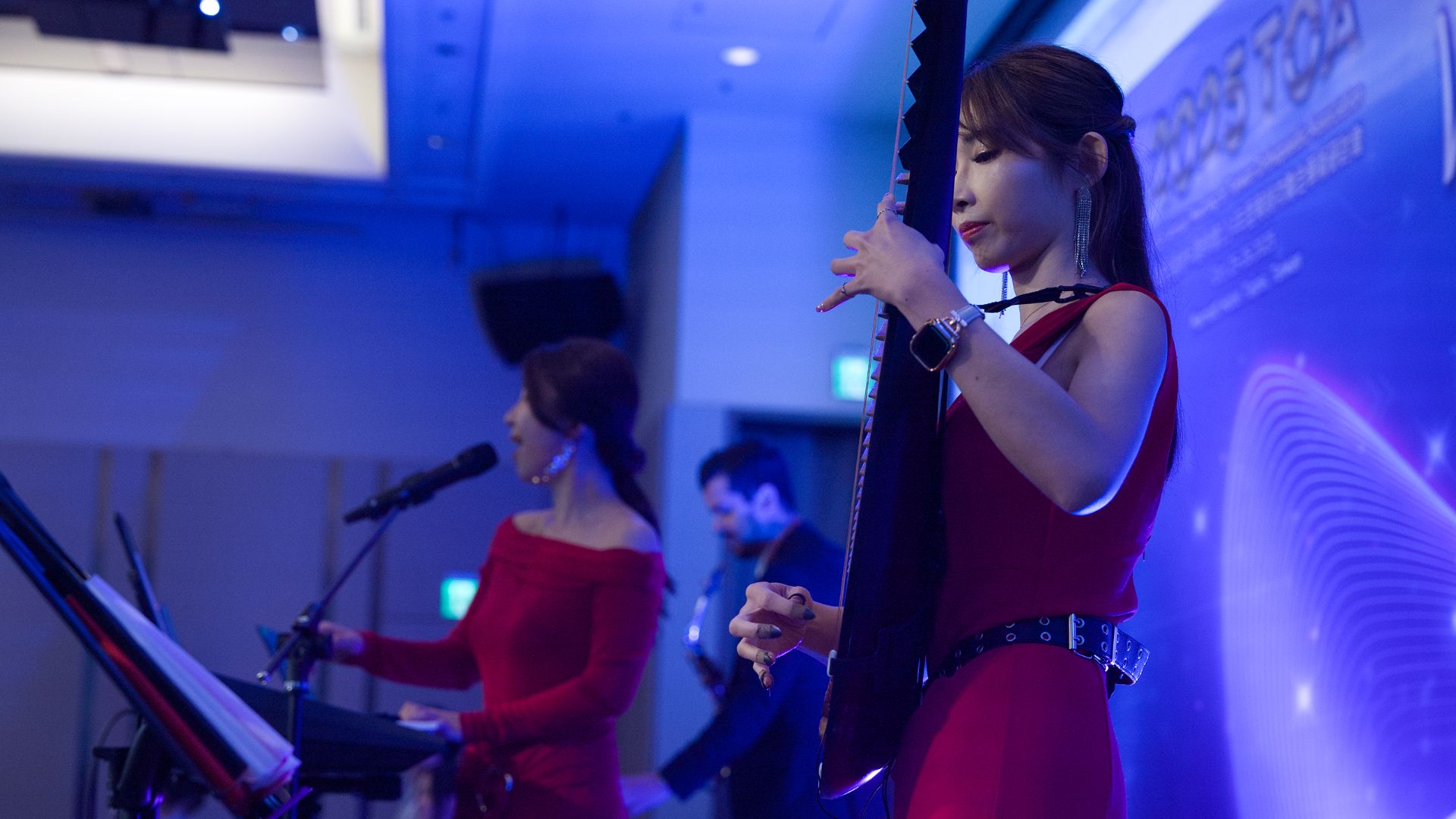 醫學會年會與企業晚宴音樂演出